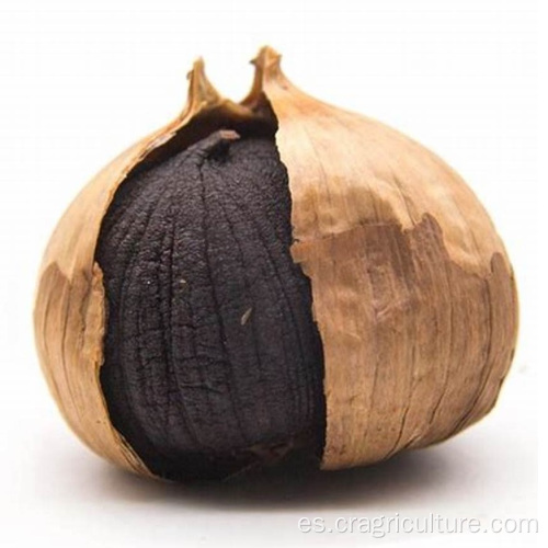 Precio del ajo negro orgánico de suministro rápido